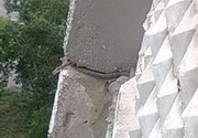 Павлодарская семья обнаружила у себя на балконе… змею